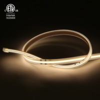 Super brillante 15 W/m IP67 impermeable al aire libre 420LEDs/M tira de luz LED DC 110V/ 220V Ra 90 tira COB de alto voltaje