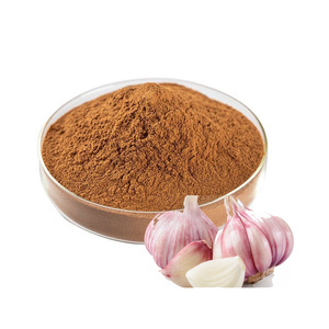 Pó de Extrato de Alho a Granel, Extrato Puro de Alho 10:1 20:1 30:1, Pó de Aliina, Pó de Extrato de Alho Envelhecido - Product Image 3