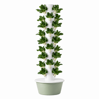Tour de culture verticale pour serre commerciale, système hydroponique à 10 niveaux pour 40 plantes avec réservoir de 30L et pompe à eau