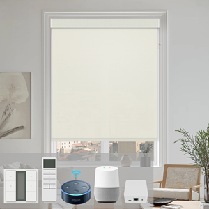 SAMADHI High-quality Customization Indoor Decoration <b>Window</b> Blackout Electric Smart Control Roller Blind <b>Shades</b> - Product Image 1