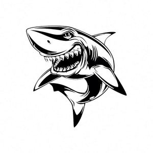 Pegatina Paul & Shark - Product Image 1