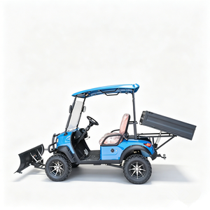Chariot de golf électrique modifié pour le déneigement et le transport de charges - Product Image 3