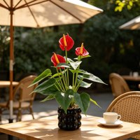 Plante artificielle de luxe moderne en PE, style Ins, fausse fleur d'anthurium en pot, verdure artificielle pour salon, table basse, Noël