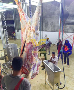 Máquina de línea de sacrificio de ganado <span class=keywords><strong>ritual</strong></span> con equipos de matadero Halal Maquinaria de carnicería - Product Image 1