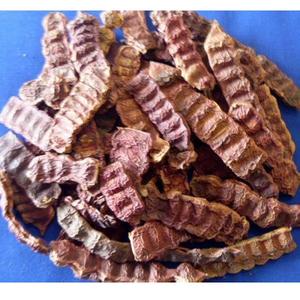 Tratamiento Capilar Ayurvédico con Cápsulas de Shikakai Orgánico, Mejora la Textura del Cabello, Previene la Caspa, Favorece un Cabello Fuerte, Suave y Brillante - Product Image 6