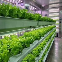 Système d'agriculture verticale hydroponique intelligent pour usine de culture en conteneurs, pour légumes, champignons, fraises, micro-légumes, grande capacité