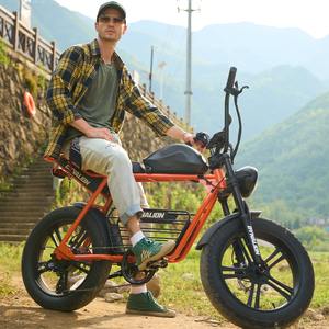 Bicicleta Eléctrica Híbrida <span class=keywords><strong>de</strong></span> Montaña con Llantas Gruesas <span class=keywords><strong>de</strong></span> 20 Pulgadas, Suspensión, para Adultos, Disponible en Almacén <span class=keywords><strong>de</strong></span> EE. UU. - Product Image 4