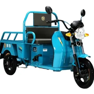 Goedkope Jinpeng 1.1M Elektrische Driewieler Voor Ouderen Om Kinderen Huishoudelijke Scooter Op Te Halen En Af Te Zetten