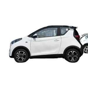 Beauty appearance vehicle trade adult high speed electric car for sale