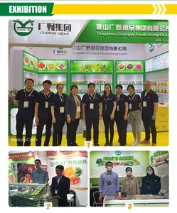 China Supply New Crop IQF Halal Low Fat Fresh Vegetable Holland Bulk Frozen Cube Potato