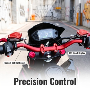 Motocicleta Eléctrica <span class=keywords><strong>de</strong></span> Dos Ruedas con Motor <span class=keywords><strong>sin</strong></span> Escobillas <span class=keywords><strong>de</strong></span> 3000W <span class=keywords><strong>de</strong></span> Alta Velocidad y Batería <span class=keywords><strong>de</strong></span> Gran Potencia - Product Image 5