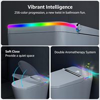 Toilette intelligente avec bidet, siège chauffant, sécheur à air chaud, chasse d'eau automatique, toilette intelligente de luxe pour salle de bain moderne