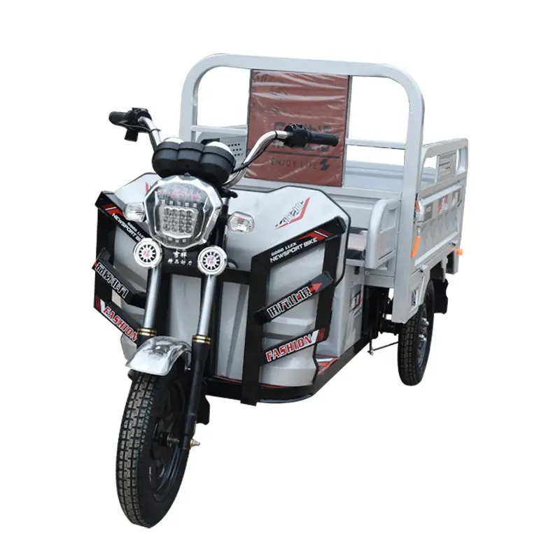 Kargo taşıma kapasitesi ile kullanımı kolay elektrikli üç tekerlekli bisiklet büyük tarım 600W 800W 1200W motorlu taşıt 3 tekerlekli kamyonlar