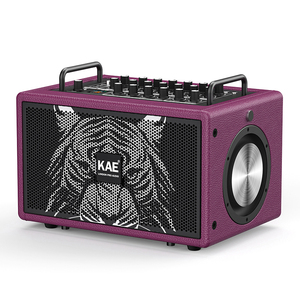 Âm Thanh Chuyên Nghiệp Công Suất Cao Âm Thanh Chuyên Nghiệp Hoạt Động Loa Siêu Trầm Karaoke Bộ Loa Với Dsp - Product Image 2