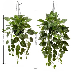 Jardinière suspendue artificielle Pothos-<span class=keywords><strong>Vigne</strong></span> au toucher réel avec feuilles tachetées, <span class=keywords><strong>vrilles</strong></span> simulées pour <span class=keywords><strong>la</strong></span> décoration suspendue du salon - Product Image 2