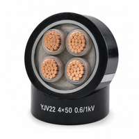 Câble d'alimentation souterrain YJV22 à 4 conducteurs en cuivre, isolé XLPE, blindé en PVC, pour câblage de construction 4*50mm2