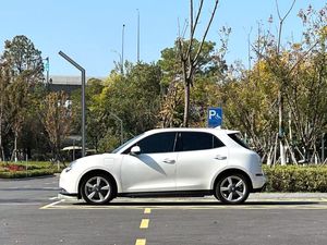 Euler auto usate 2021 buon gatto 400KM gamma Standard <span class=keywords><strong>Venus</strong></span> Edition - Product Image 5