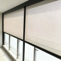 Cortinas Retráctiles con Cierre de Cremallera, Resistentes al Viento y al Fuego, Motorizadas, para Exteriores, Cubiertas para Balcones