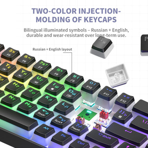 Russian Custom Esports Mechanical Keyboard RGB Hot Swappable Blue Red <b>Switch</b> 68 Keys Layout Wired Gaming Computer Peripherals - Product Image 3