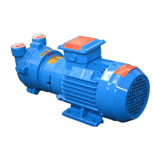 Bomba de Vacío de Anillo Líquido Horizontal BOYUAN 2BV2060 para Maquinaria Industrial, Serie Manufacturada - Product Image 6