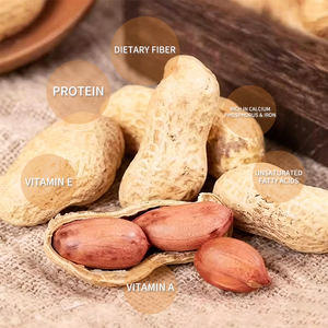 Crispy Spiced Peanut <b>Snack</b> Factory Wholesale, Custom Logo Vacuum Pack Welcome Factory Inspection For Bulk Buyers - Product Image 1