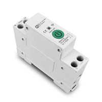 Disjoncteur intelligent sans fil Tuya Wifi avec mesure de puissance 1P 63A sur rail DIN pour maison connectée, commande à distance par application