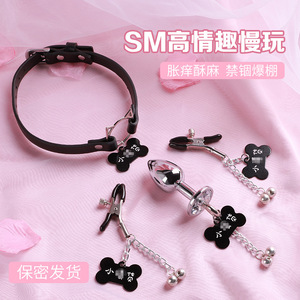 Collier à clochette pour chat, plug anal en métal, pince à tétons, jouet de stimulation pour adultes, pour l'entraînement des esclaves féminines - Product Image 1