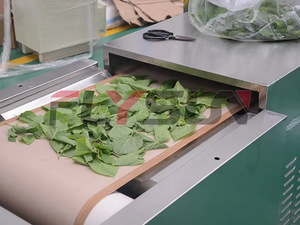 Máquina de Esterilización y Secado por Microondas Automática Personalizada con Cinta Transportadora de Acero Inoxidable 304 de Alta Capacidad - Product Image 2