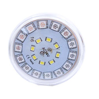 Source de lumière ponctuelle E14 RGBW 60mm 24V programmable automatiquement, étanche IP66, CRI 90 élevé, éclairage LED pour manèges de parc d'attractions 5W