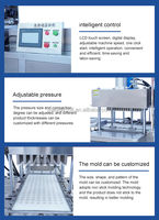 380V 5000W Multifunction Customizable Size Brown Sugar Making Machine Green Bean Red Bean Cake Mooncake