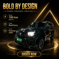 Tanke 700 Hi4 Z SUV Hybride 2025 Turbo Gauche Haute Performance Châssis Routier Portable Durable Sécurité Avancée Léger