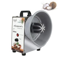 Râpe à noix de coco électrique, machine à râper les noyaux de noix de coco, acier inoxydable, automatique, 220V, broyeur de chair de noix de coco