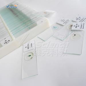 25 Portaobjetos Histológicos Preparados de Humanos y Animales para Microscopio, Ciencias Médicas, Estudio de Biología - Product Image 5