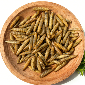 Larvas Secas de Mosca Soldado Negra con Alto Contenido de Proteínas, Directo de Fábrica, para Alimentación de Aves de Corral y Pollos - Product Image 4