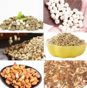 יעילות גבוהה מכירה לוהטת אוטומטית זרעי מורינגה ניקוי מכונת זרעי מורינגה הפגזות מכונת - Product Image 6