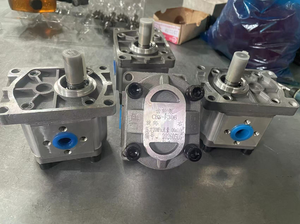 Bomba de Engranajes para Maquinaria Agrícola y Tractores CBN-F306 CBN-E304 CBN-F306 CBN-G308 CBN-F310 CBN-E312, Bomba Hidráulica de Engranajes para Montacargas - Product Image 1