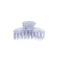 Pince à cheveux polyvalente en feuille d'acétate pour femmes avec design de niche Grand os de dragon Dos élégant Accessoire pour cheveux