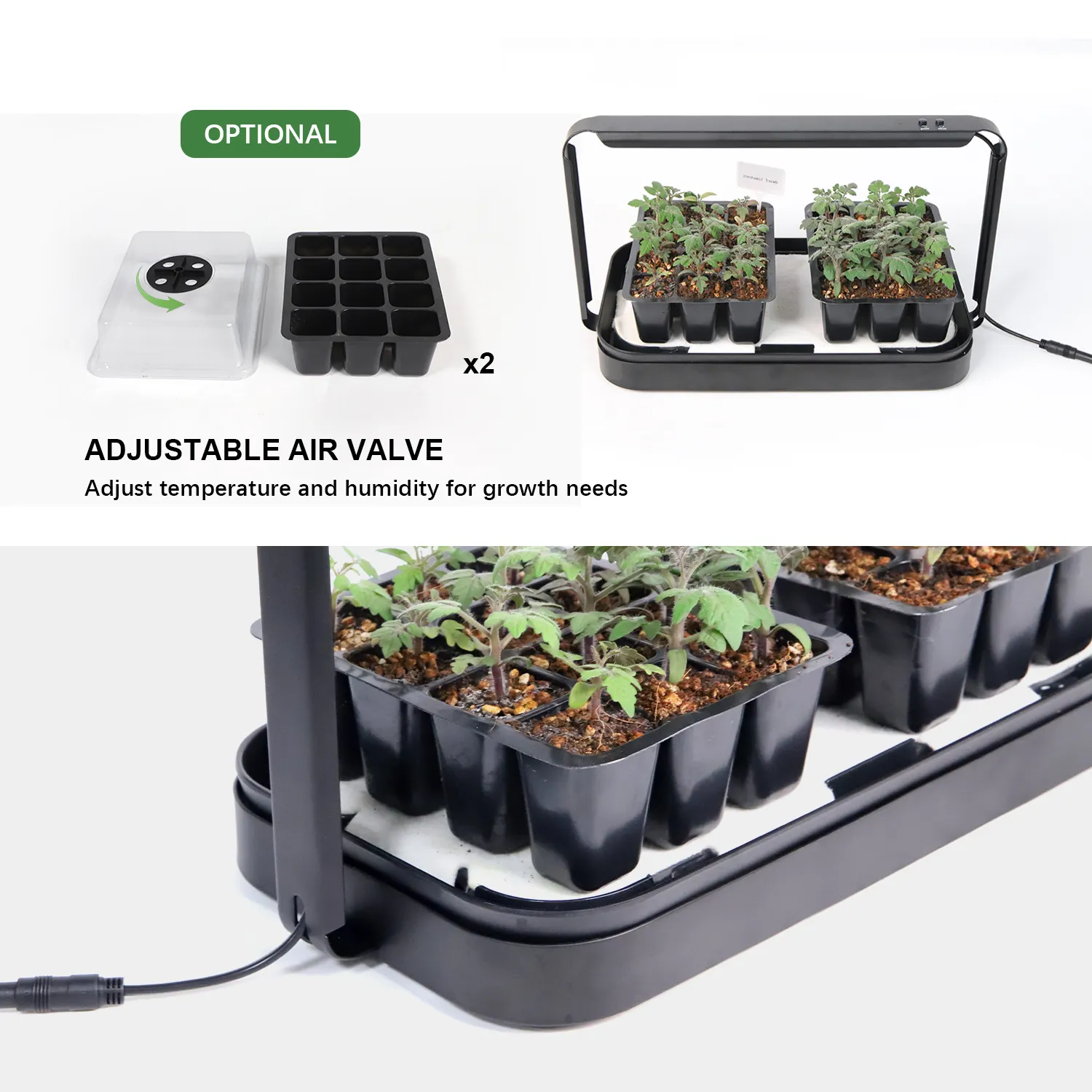 Nuovo design di piantare erbe piantina clone interno LED casa smart timer micro verde azienda agricola sistema di coltivazione