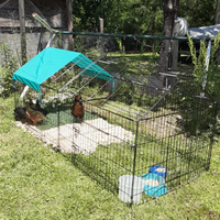 Enclos en métal pour volailles, poulets, canards, lapins, chats, parc de jeu