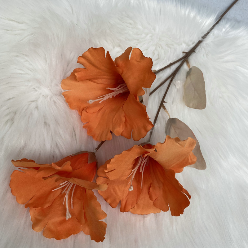 3 oranges caramel