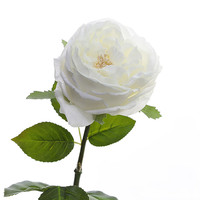 Rose artificielle de haute qualité, toucher réaliste, en soie et latex, blanche et rose, David Austin, pour la décoration de mariage et de fête