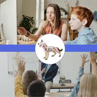 Modelo Anatómico de Perro, Simulación de Anatomía Animal, Biología, Órganos Desmontables, Partes del Cuerpo, Modelos Educativos de Ciencia, Modelos Veterinarios Escolares