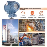 Transmitter Temperatur Terintegrasi Presisi Tinggi Dengan Layar Digital Output 4-20mA RS485 Sensor Pt100 Rtd Anti Ledakan
