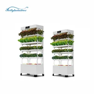 Düşük maliyetli dikey tarım hidroponik akıllı ev topraksız sebze yetiştirme makinesi