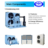 Unité de condensation à air ouvert avec compresseur semi-hermétique R404A R507, automatique et écologique, pour chambre froide et entrepôt frigorifique