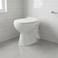 WC écologique européen sans réservoir, à évacuation indépendante (siphon en P), sans eau