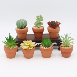 Plantas <span class=keywords><strong>Suculentas</strong></span> Artificiales <span class=keywords><strong>con</strong></span> Decoración de Maceta de Arcilla, Macetas de <span class=keywords><strong>Flores</strong></span> de Plástico Personalizadas al por Mayor, <span class=keywords><strong>Flores</strong></span> y Plantas Preservadas PA83 - Product Image 6