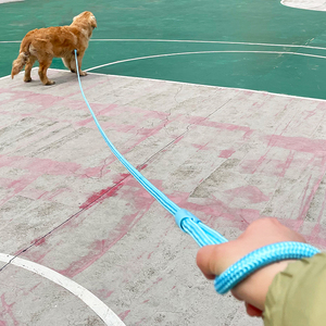 Groothandel Duurzaam Nylon 20M 10M 5M Lengte Hondenriem Kraag Set Goedkope Gevulde Outdoor <span class=keywords><strong>Training</strong></span> 30ft 50ft Huisdier Touw Snoeren Lopen - Product Image 4