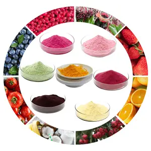 Vegetables And Fruits Powder Mixed Dried Fruits Juice Mixed Powder Drink Fruits Mixed Powder