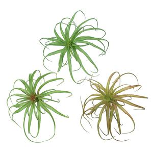 مصنع بيع البلاستيك نبات الهواء الاصطناعي العشب Tillandsia لتزيين الجدران - Product Image 2